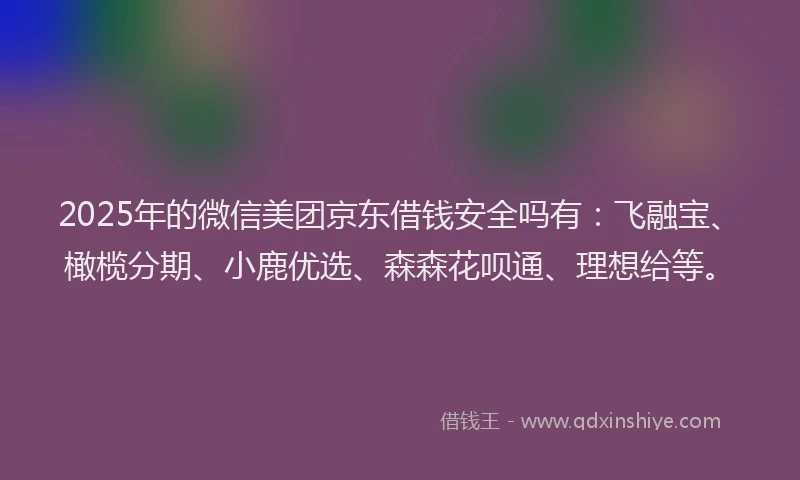 2025年的微信美团京东借钱安全吗有：飞融宝、橄榄分期、小鹿优选、森森花呗通、理想给等。