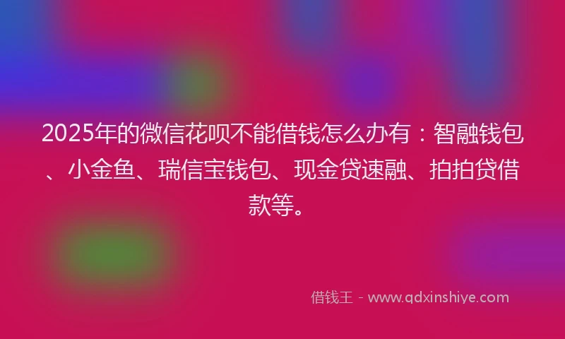 2025年的微信花呗不能借钱怎么办有：智融钱包、小金鱼、瑞信宝钱包、现金贷速融、拍拍贷借款等。
