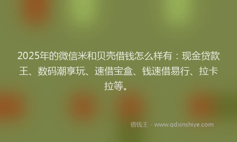 2025年的微信米和贝壳借钱怎么样有：现金贷款王、数码潮享玩、速借宝盒、钱速借易行、拉卡拉等。