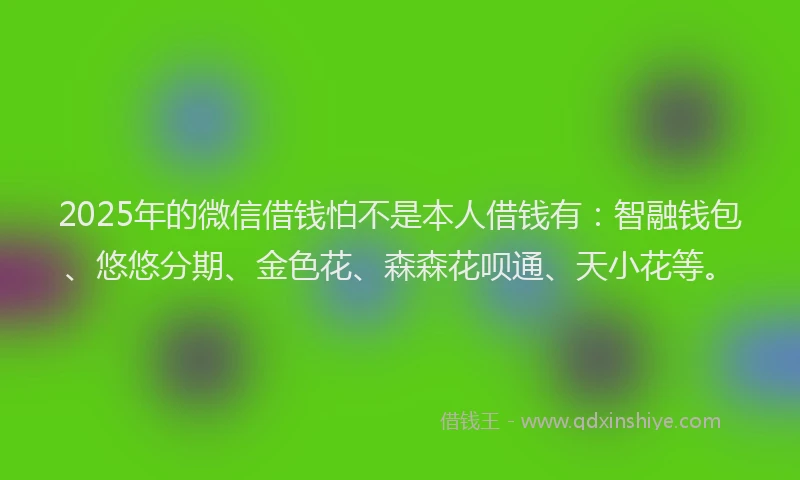 2025年的微信借钱怕不是本人借钱有：智融钱包、悠悠分期、金色花、森森花呗通、天小花等。