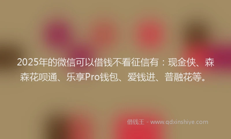 2025年的微信可以借钱不看征信有：现金侠、森森花呗通、乐享Pro钱包、爱钱进、普融花等。
