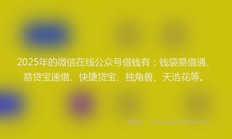 2025年的微信在线公众号借钱有：钱袋易借通、易贷宝速借、快捷贷宝、独角兽、天浩花等。