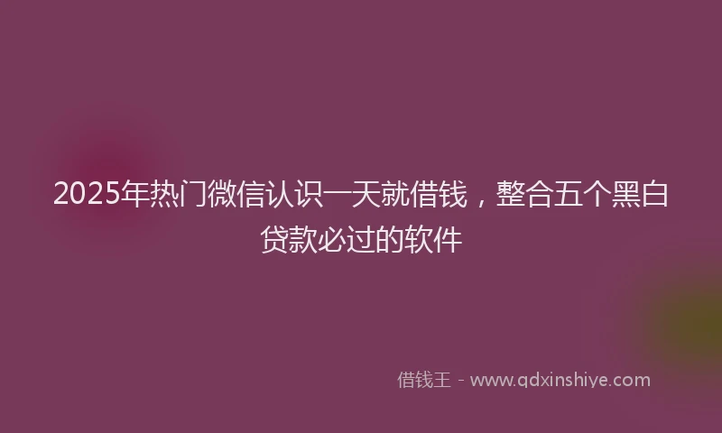 2025年热门微信认识一天就借钱，整合五个黑白贷款必过的软件