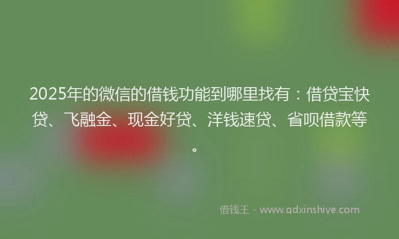 2025年的微信的借钱功能到哪里找有：借贷宝快贷、飞融金、现金好贷、洋钱速贷、省呗借款等。