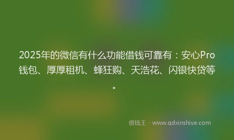 2025年的微信有什么功能借钱可靠有：安心Pro钱包、厚厚租机、蜂狂购、天浩花、闪银快贷等。