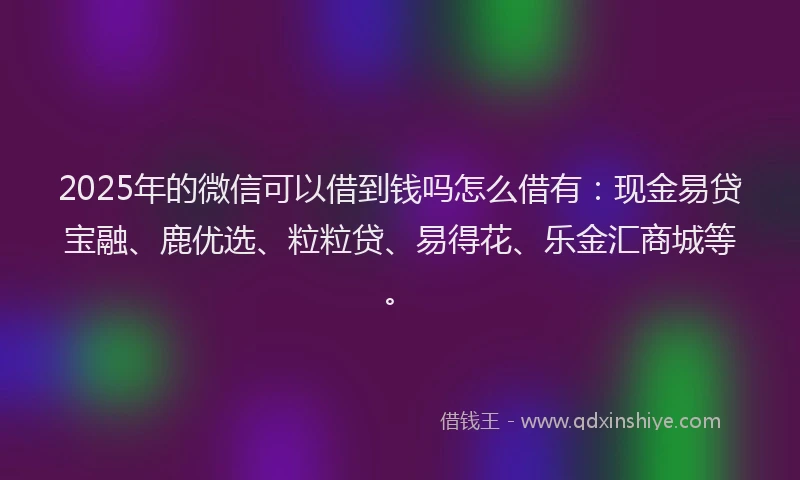 2025年的微信可以借到钱吗怎么借有：现金易贷宝融、鹿优选、粒粒贷、易得花、乐金汇商城等。