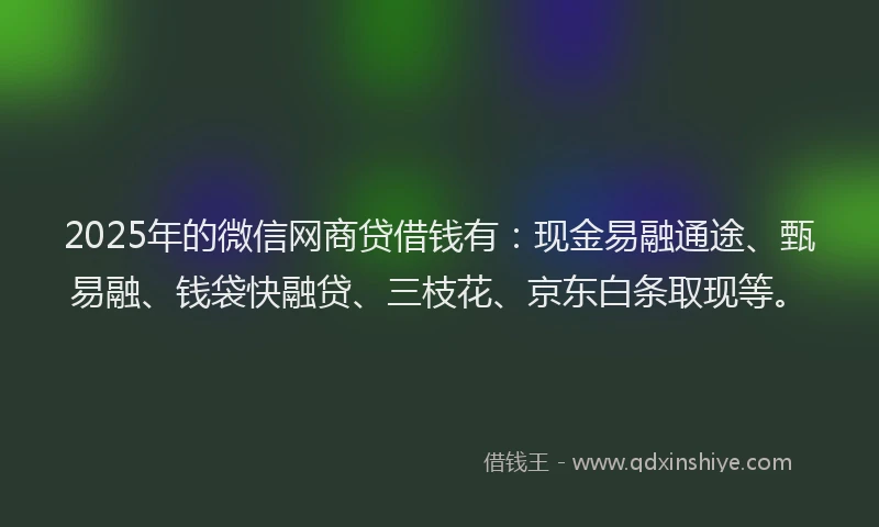 2025年的微信网商贷借钱有：现金易融通途、甄易融、钱袋快融贷、三枝花、京东白条取现等。