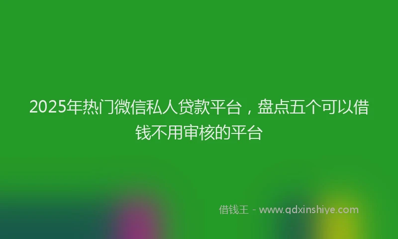 2025年热门微信私人贷款平台，盘点五个可以借钱不用审核的平台