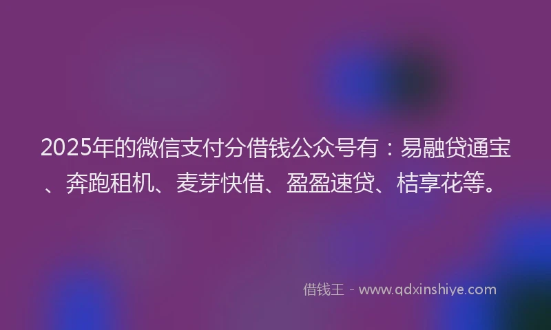 2025年的微信支付分借钱公众号有：易融贷通宝、奔跑租机、麦芽快借、盈盈速贷、桔享花等。