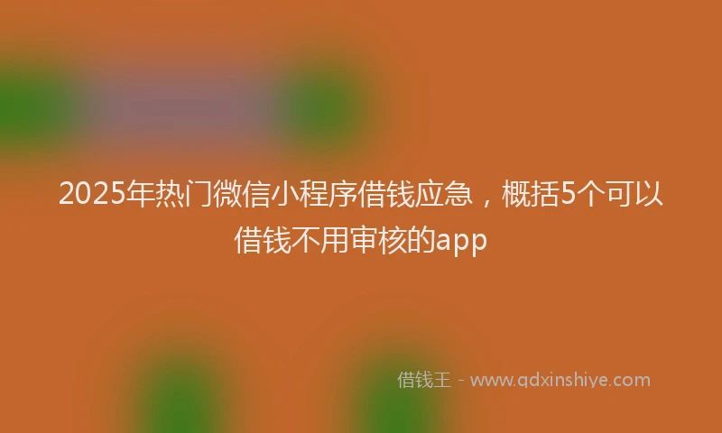 2025年热门微信小程序借钱应急，概括5个可以借钱不用审核的app