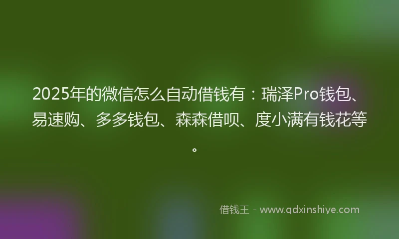 2025年的微信怎么自动借钱有：瑞泽Pro钱包、易速购、多多钱包、森森借呗、度小满有钱花等。