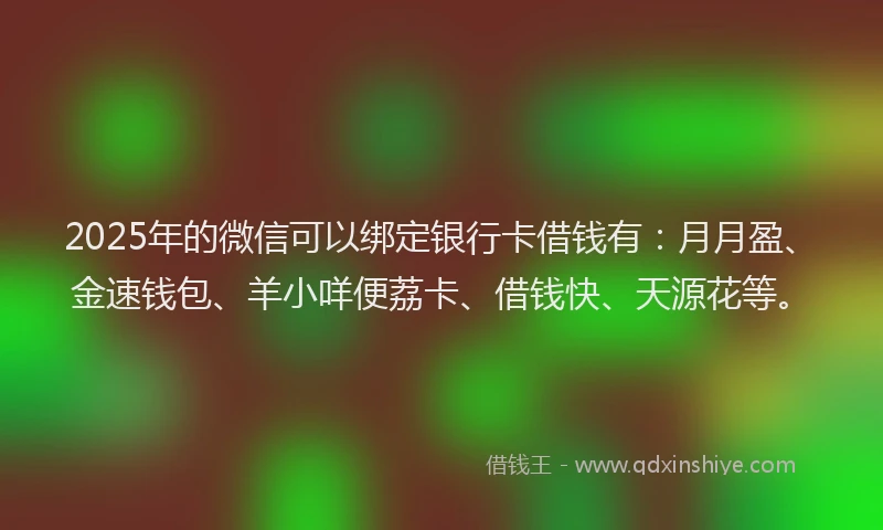 2025年的微信可以绑定银行卡借钱有：月月盈、金速钱包、羊小咩便荔卡、借钱快、天源花等。