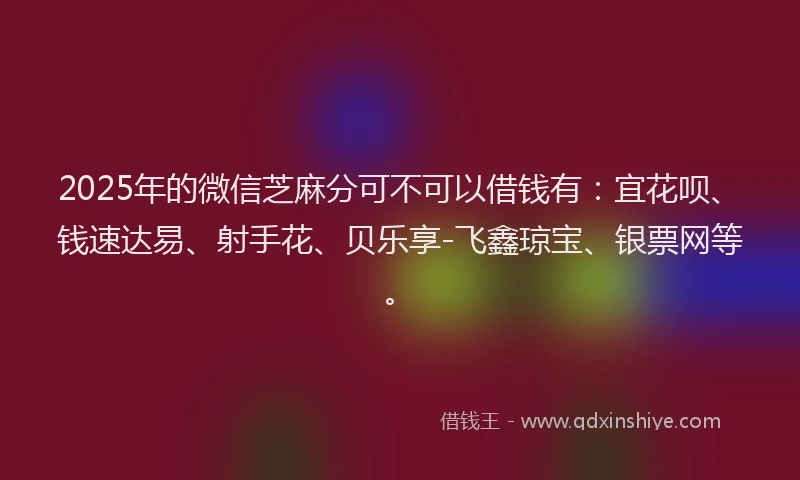 2025年的微信芝麻分可不可以借钱有：宜花呗、钱速达易、射手花、贝乐享-飞鑫琼宝、银票网等。