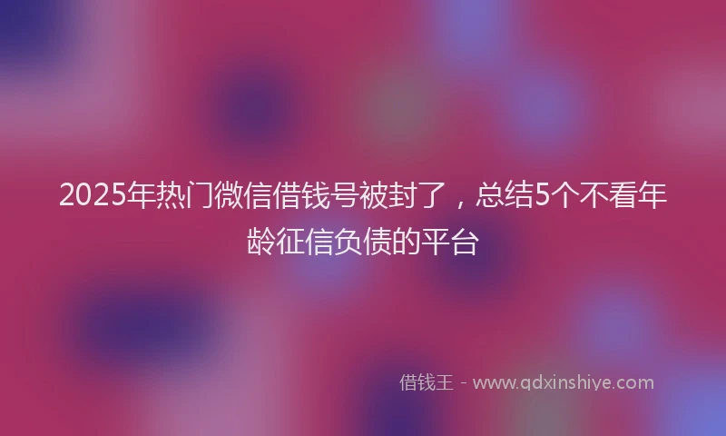 2025年热门微信借钱号被封了，总结5个不看年龄征信负债的平台