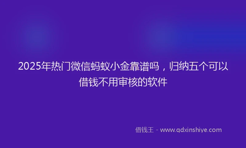 2025年热门微信蚂蚁小金靠谱吗，归纳五个可以借钱不用审核的软件