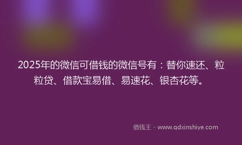 2025年的微信可借钱的微信号有：替你速还、粒粒贷、借款宝易借、易速花、银杏花等。