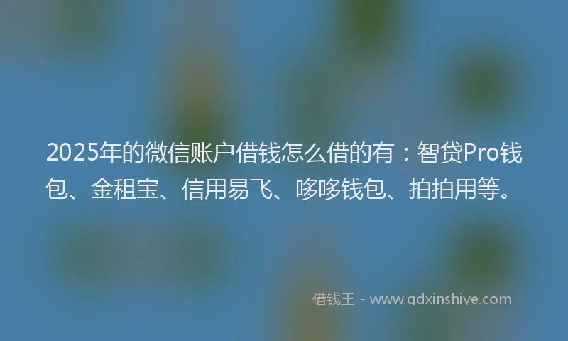 2025年的微信账户借钱怎么借的有：智贷Pro钱包、金租宝、信用易飞、哆哆钱包、拍拍用等。