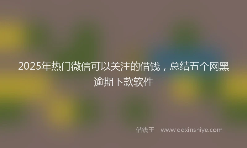 2025年热门微信可以关注的借钱，总结五个网黑逾期下款软件