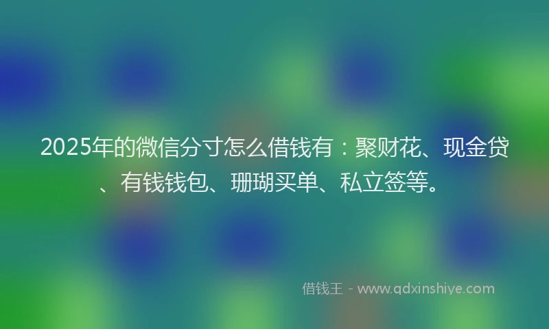 2025年的微信分寸怎么借钱有：聚财花、现金贷、有钱钱包、珊瑚买单、私立签等。