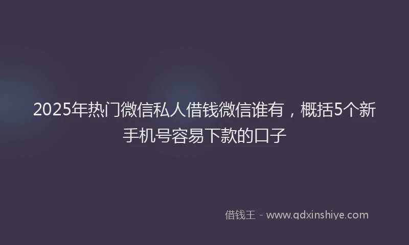 2025年热门微信私人借钱微信谁有，概括5个新手机号容易下款的口子