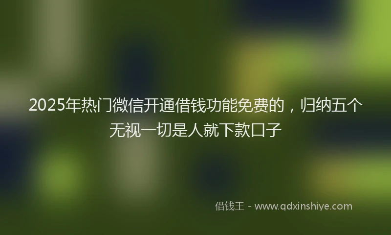 2025年热门微信开通借钱功能免费的，归纳五个无视一切是人就下款口子