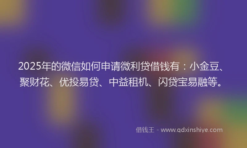 2025年的微信如何申请微利贷借钱有：小金豆、聚财花、优投易贷、中益租机、闪贷宝易融等。