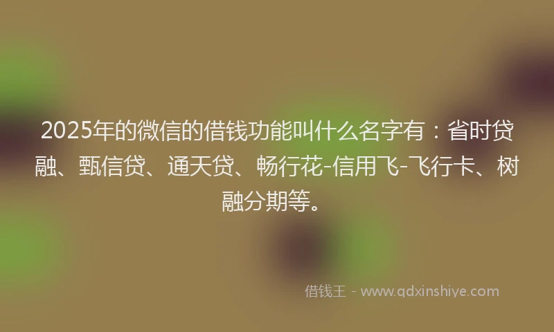 2025年的微信的借钱功能叫什么名字有：省时贷融、甄信贷、通天贷、畅行花-信用飞-飞行卡、树融分期等。
