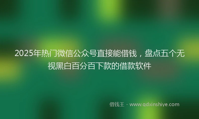 2025年热门微信公众号直接能借钱，盘点五个无视黑白百分百下款的借款软件