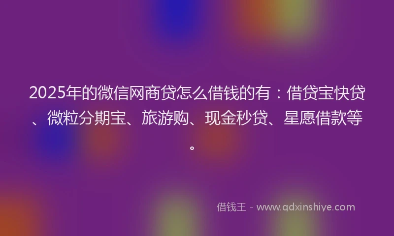 2025年的微信网商贷怎么借钱的有：借贷宝快贷、微粒分期宝、旅游购、现金秒贷、星愿借款等。