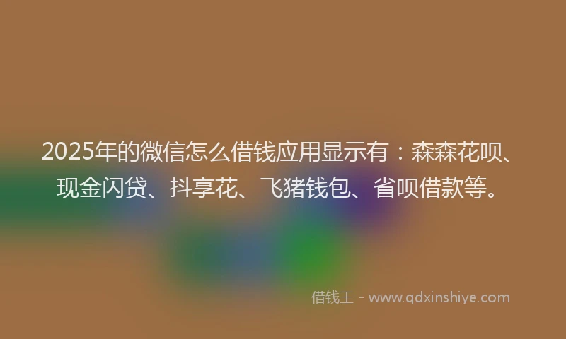 2025年的微信怎么借钱应用显示有：森森花呗、现金闪贷、抖享花、飞猪钱包、省呗借款等。
