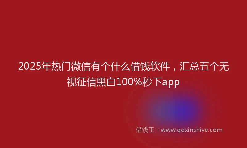 2025年热门微信有个什么借钱软件，汇总五个无视征信黑白100%秒下app