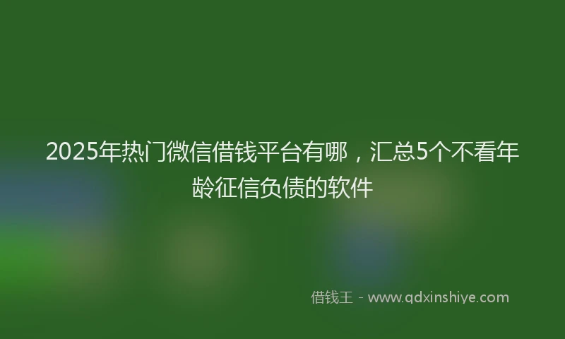 2025年热门微信借钱平台有哪，汇总5个不看年龄征信负债的软件
