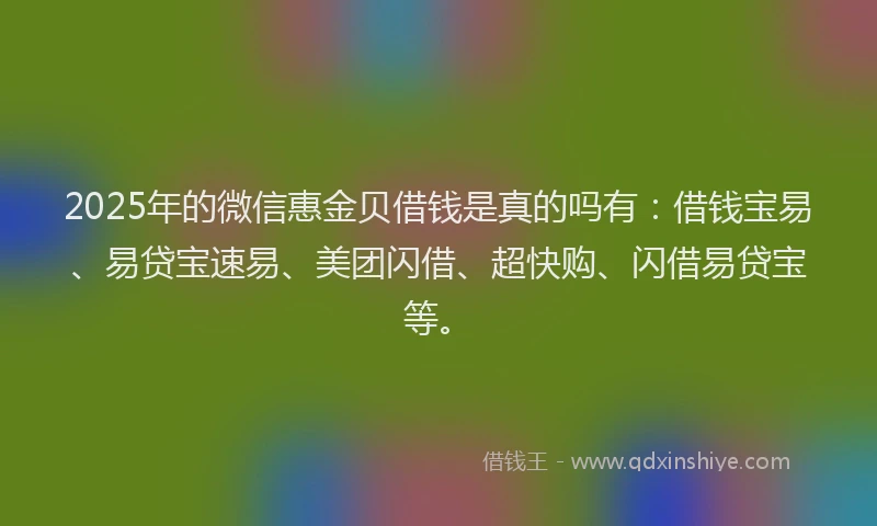 2025年的微信惠金贝借钱是真的吗有：借钱宝易、易贷宝速易、美团闪借、超快购、闪借易贷宝等。