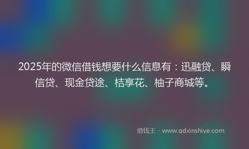 2025年的微信借钱想要什么信息有：迅融贷、瞬信贷、现金贷途、桔享花、柚子商城等。