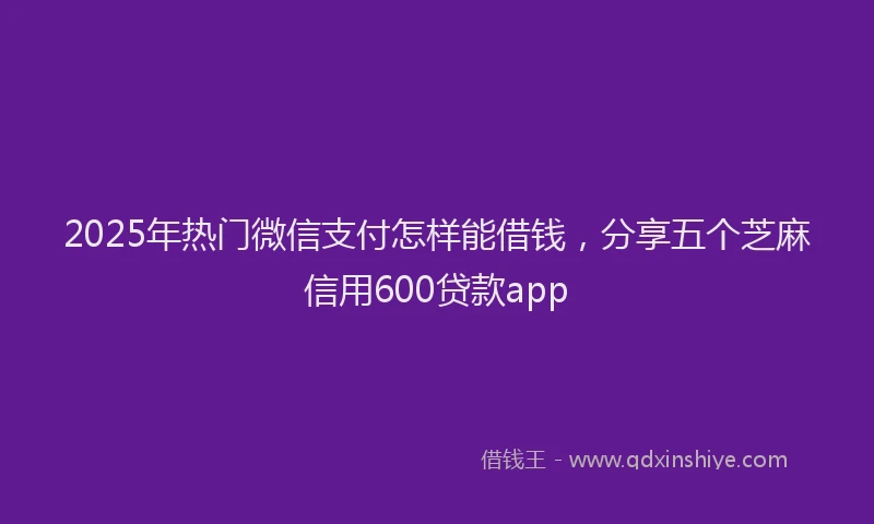 2025年热门微信支付怎样能借钱，分享五个芝麻信用600贷款app