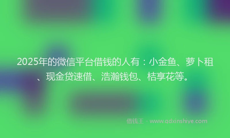 2025年的微信平台借钱的人有：小金鱼、萝卜租、现金贷速借、浩瀚钱包、桔享花等。