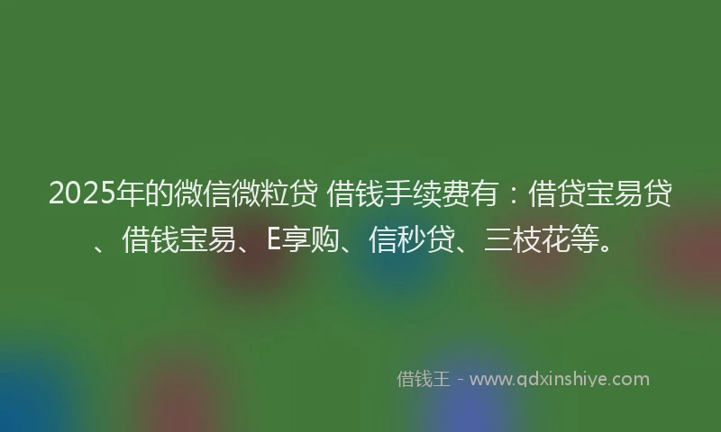 2025年的微信微粒贷 借钱手续费有：借贷宝易贷、借钱宝易、E享购、信秒贷、三枝花等。