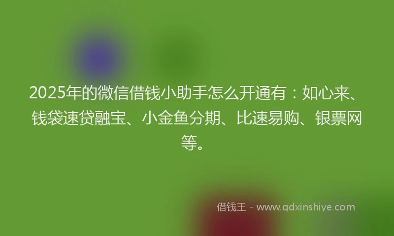 2025年的微信借钱小助手怎么开通有：如心来、钱袋速贷融宝、小金鱼分期、比速易购、银票网等。