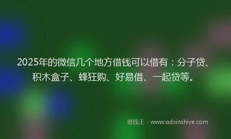 2025年的微信几个地方借钱可以借有：分子贷、积木盒子、蜂狂购、好易借、一起贷等。
