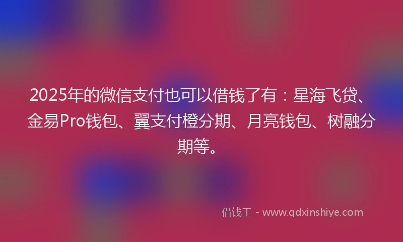 2025年的微信支付也可以借钱了有：星海飞贷、金易Pro钱包、翼支付橙分期、月亮钱包、树融分期等。