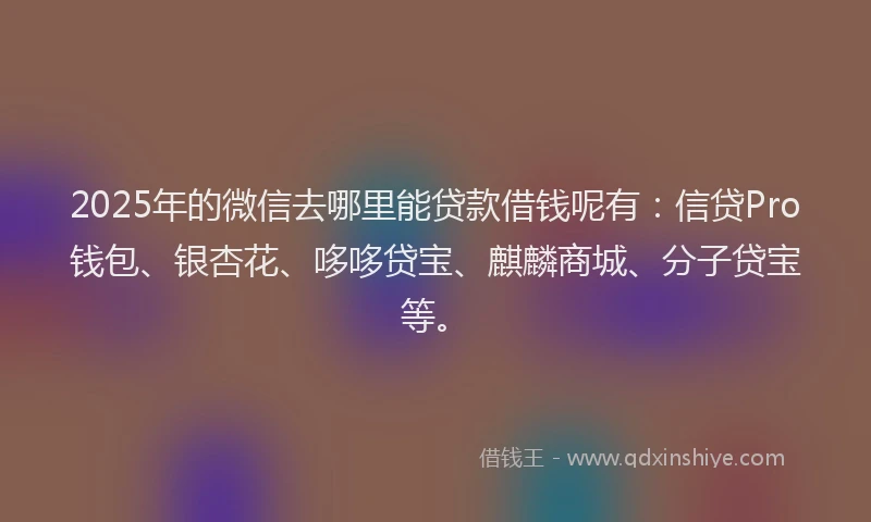 2025年的微信去哪里能贷款借钱呢有：信贷Pro钱包、银杏花、哆哆贷宝、麒麟商城、分子贷宝等。