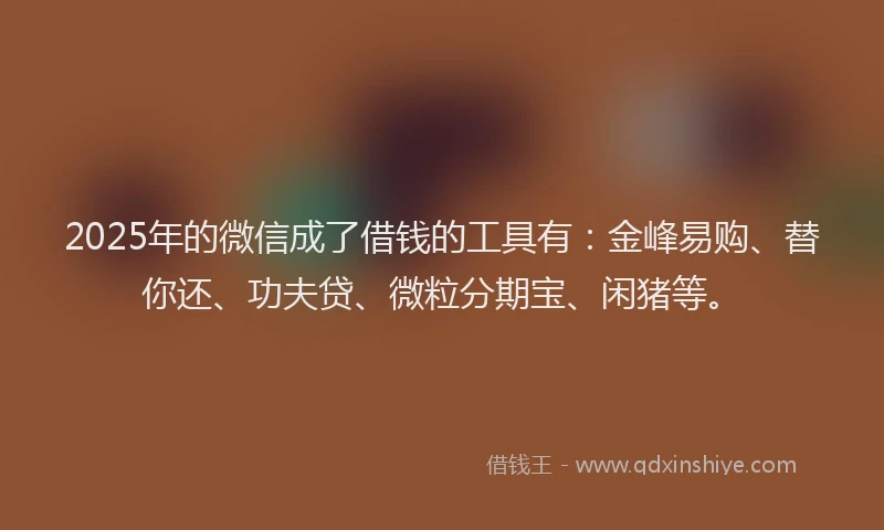 2025年的微信成了借钱的工具有：金峰易购、替你还、功夫贷、微粒分期宝、闲猪等。