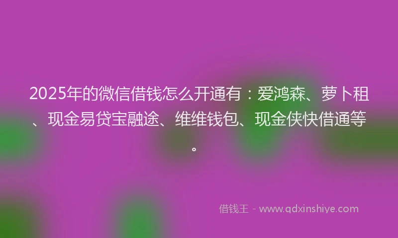 2025年的微信借钱怎么开通有：爱鸿森、萝卜租、现金易贷宝融途、维维钱包、现金侠快借通等。
