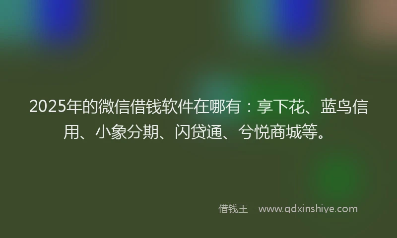 2025年的微信借钱软件在哪有：享下花、蓝鸟信用、小象分期、闪贷通、兮悦商城等。