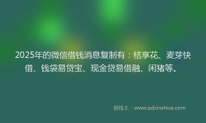 2025年的微信借钱消息复制有：桔享花、麦芽快借、钱袋易贷宝、现金贷易借融、闲猪等。