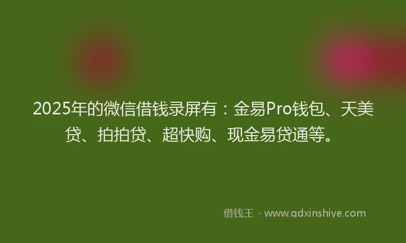 2025年的微信借钱录屏有：金易Pro钱包、天美贷、拍拍贷、超快购、现金易贷通等。