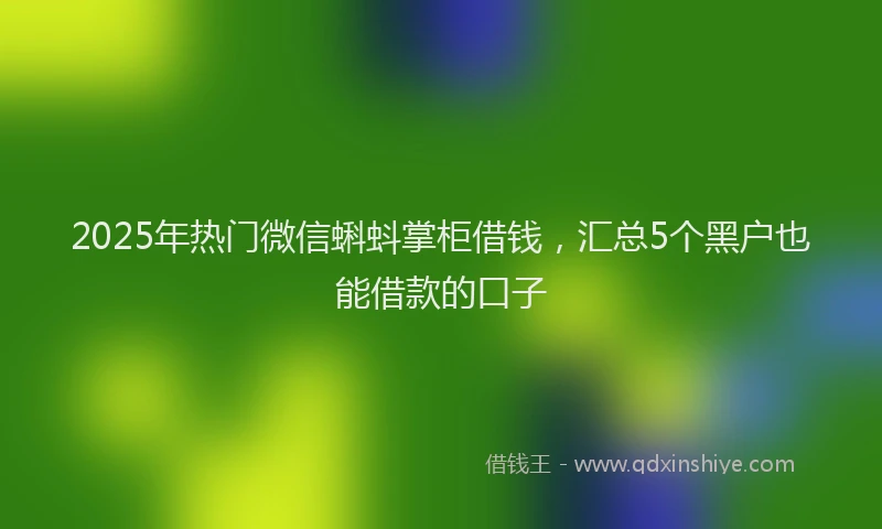 2025年热门微信蝌蚪掌柜借钱，汇总5个黑户也能借款的口子