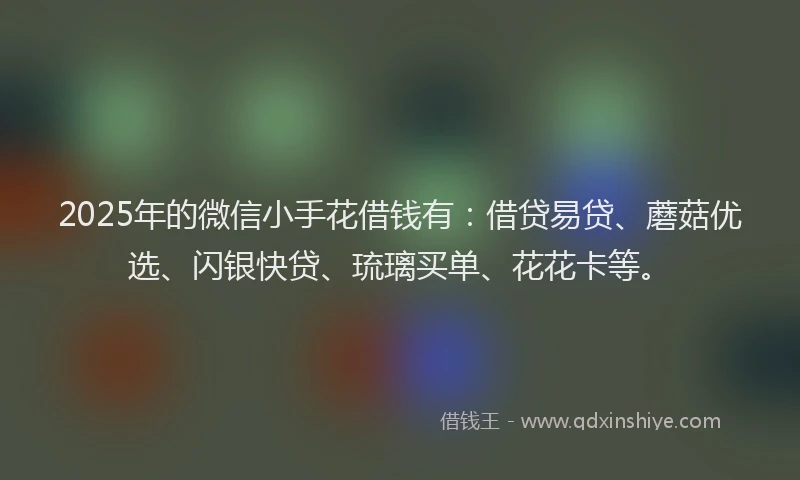 2025年的微信小手花借钱有：借贷易贷、蘑菇优选、闪银快贷、琉璃买单、花花卡等。