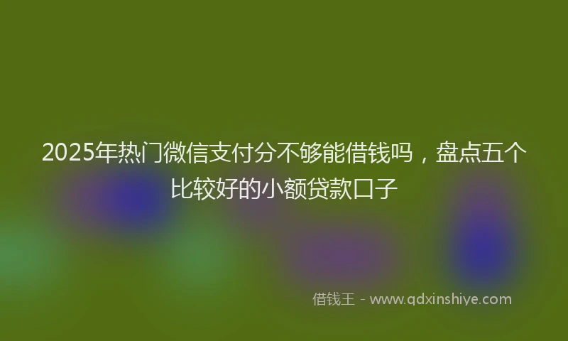 2025年热门微信支付分不够能借钱吗，盘点五个比较好的小额贷款口子