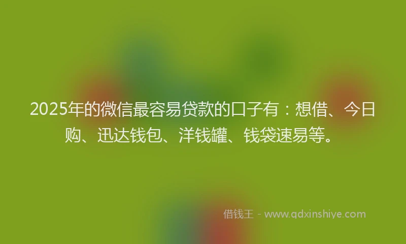 2025年的微信最容易贷款的口子有：想借、今日购、迅达钱包、洋钱罐、钱袋速易等。